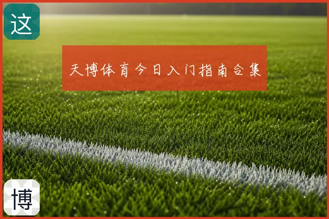天博体育今日入门指南合集
